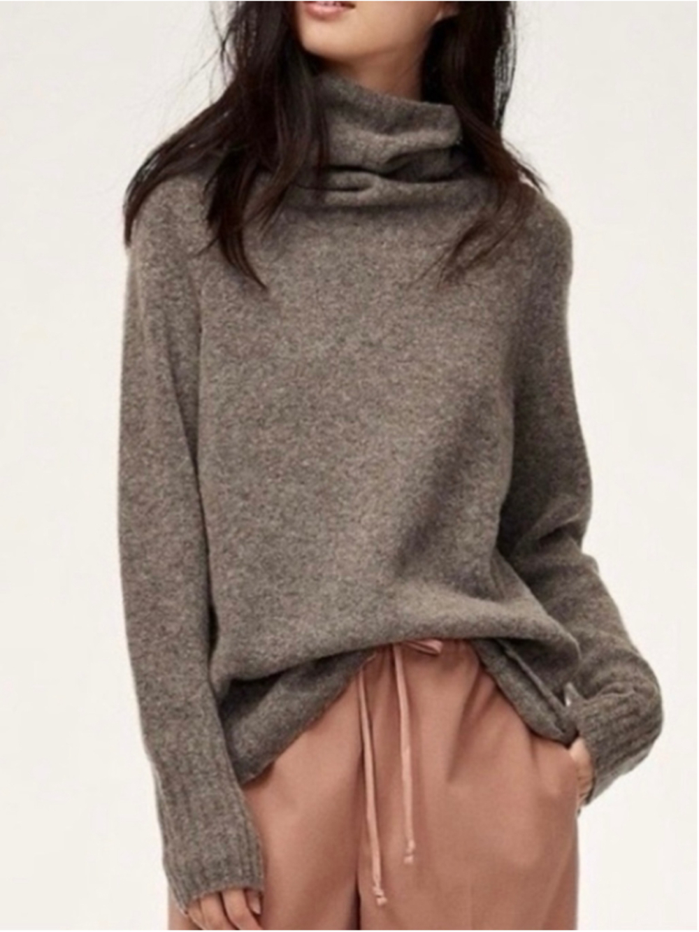 The Group Babaton Plutarch Turtleneck Sweater Size XS Taupe